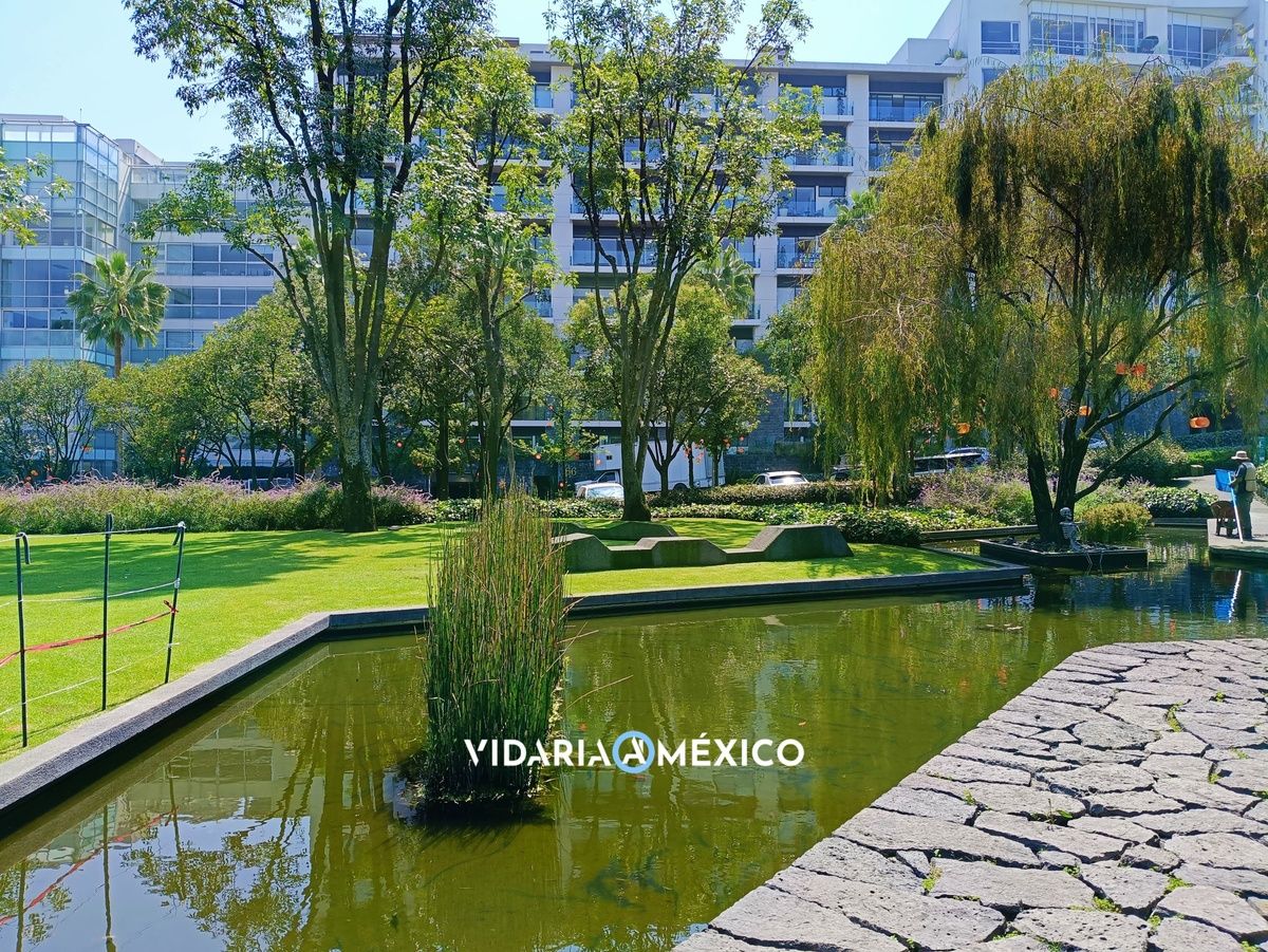 CDMX Tlalpan, 2 Habitaciones Habitaciones, ,2 BathroomsBathrooms,Departamento,Renta,7,1440