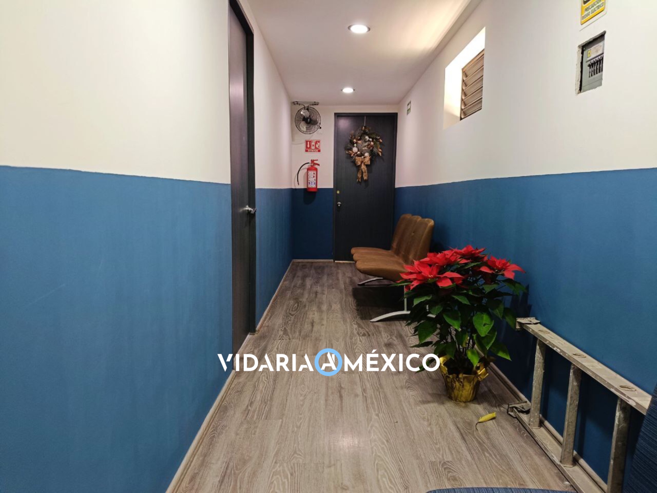 CDMX Tlalpan, ,1 BañoBathrooms,Oficina,Renta,3,1456