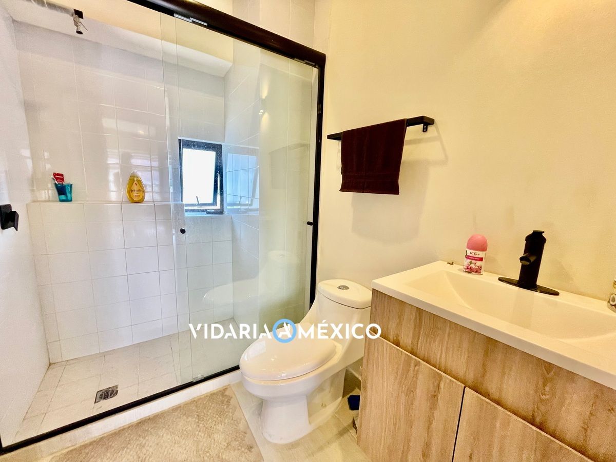 CDMX Coyoacan, 2 Habitaciones Habitaciones, ,2 BathroomsBathrooms,Departamento,Renta,1463