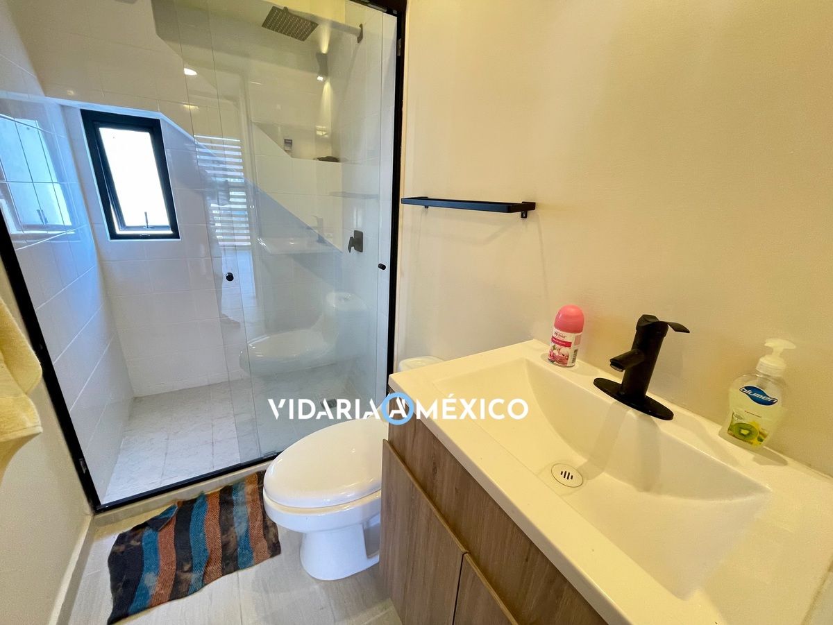 CDMX Coyoacan, 2 Habitaciones Habitaciones, ,2 BathroomsBathrooms,Departamento,Renta,1463